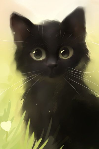 File:Cat 1.jpg