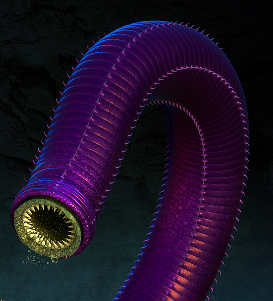 File:Purple Worm 3.png