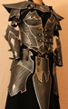 Hide Armor Suit 2.png