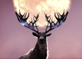 Stag-Lord-1.png