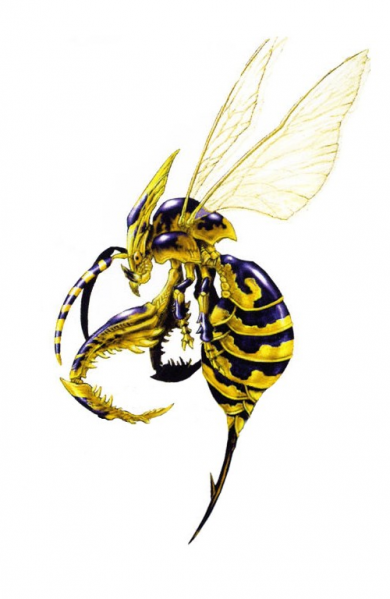 Soothing Wasp