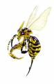 Soothing Wasp 1.png