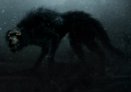 Dire-Wolf-2.png