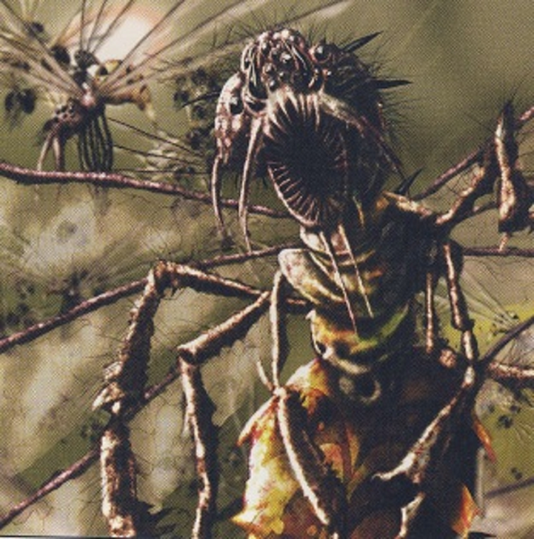 File:Rot Fly 2.png
