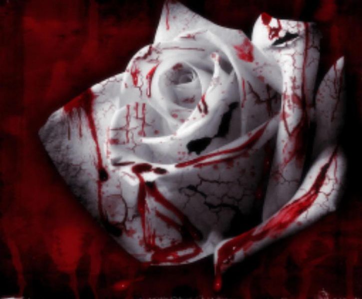 File:Blood Roses.jpg