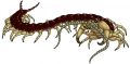 Huge Gruesome Centipede 1.png