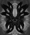 Aberration Winged 1.png